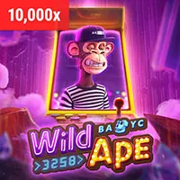 Cá cược Đá Gà 456win